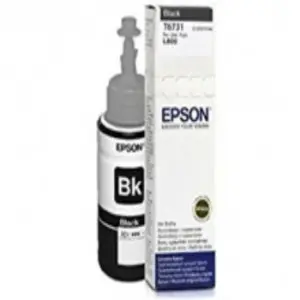 Mực in Epson C13T673300
