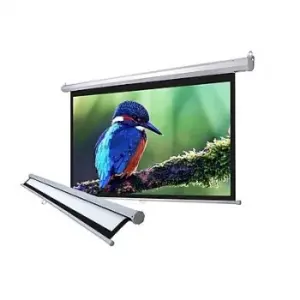 Màn chiếu treo tường Dalite 120 INCH ( 96X72 ) - Mã PW96WS