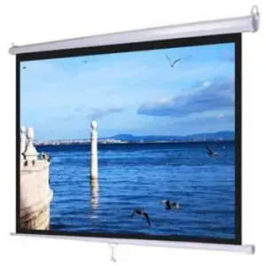 Màn chiếu điện điều khiển Dalite 250 Inch - Mã P250ES