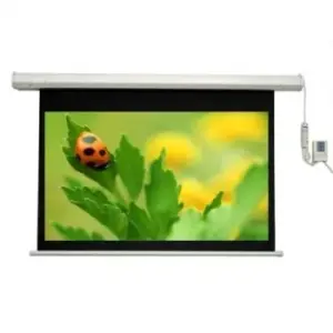 Màn chiếu điện điều khiển Dalite 200 Inch - Mã P200ES
